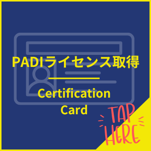 ブルーケーブでPADIライセンスを取得する