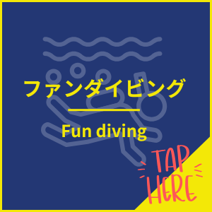 ブルーケーブでファンダイビングをする