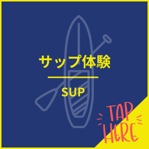 ブルーケーブでサップを体験する