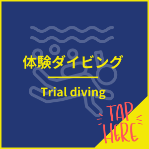 ブルーケーブで体験ダイビングをする